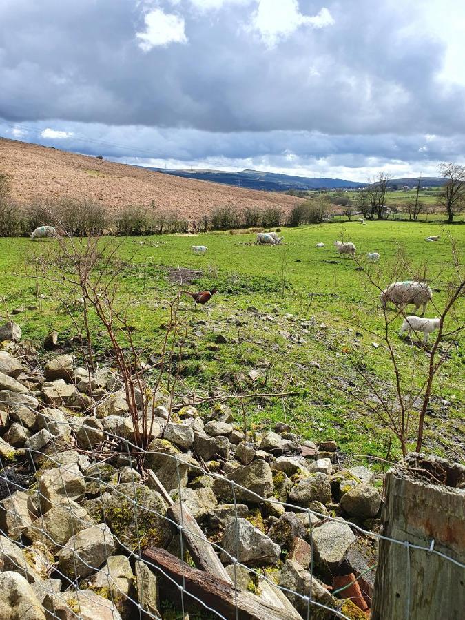 Wales' Highest Village - The Chartist Cottage - Trefil Tredegar Екстериор снимка
