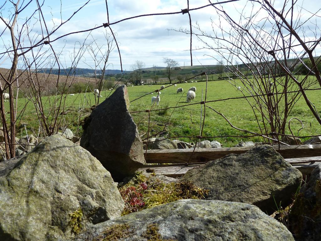 Wales' Highest Village - The Chartist Cottage - Trefil Tredegar Екстериор снимка